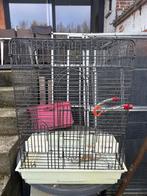 Vogel of parkieten kooi, Enlèvement ou Envoi, Utilisé