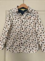 Jongens longsleeves, truien en vesten maat 116, Kinderen en Baby's, Ophalen, Gebruikt, Jongen