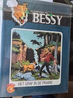 Het graf in de prairie, Boeken, Stripverhalen, Ophalen of Verzenden, Nieuw