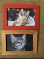 2 kleine kadertjes poezen, Enlèvement ou Envoi, Utilisé, Bois