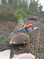 Coupe arbre contre le bois, Bricolage & Construction