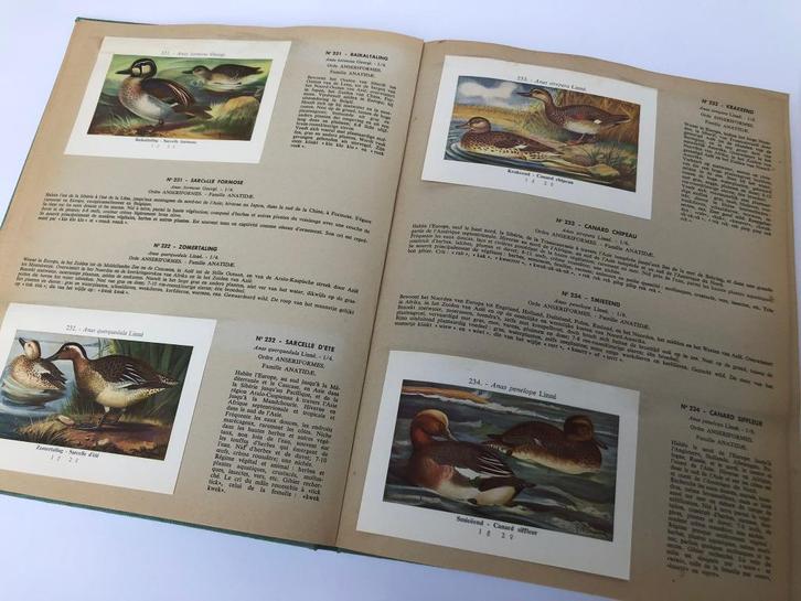 3 oude FORTboeken van 'de vogels van België', Livres, Livres d'images & Albums d'images, Enlèvement ou Envoi