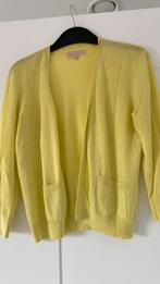 Vestje Essentiel L, Kleding | Dames, Ophalen of Verzenden, Gedragen, Maat 42/44 (L), Geel