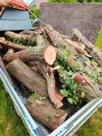 Brandhout wilg, Tuin en Terras, Brandhout, 3 tot 6 m³, Ophalen, Stammen