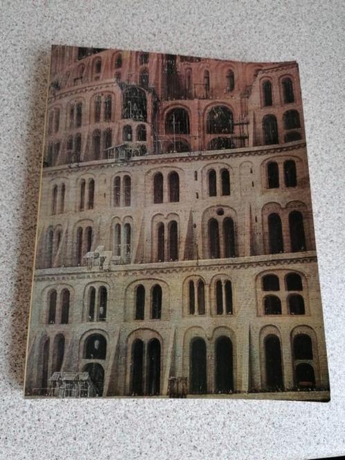 Breugel - Een dynastie van schilders, Boeken, Kunst en Cultuur | Beeldend, Zo goed als nieuw, Schilder- en Tekenkunst, Ophalen of Verzenden