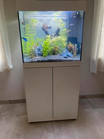 Aquarium juwel lido 120 beschikbaar voor biedingen