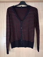 Cardigan à thème taille S (nr6692), Enlèvement ou Envoi, Taille 36 (S), Porté, Hema