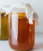 Gratis Kombucha Scoby / Moeder, Diversen, Levensmiddelen, Ophalen
