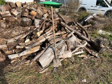 Brandhout  beschikbaar voor biedingen