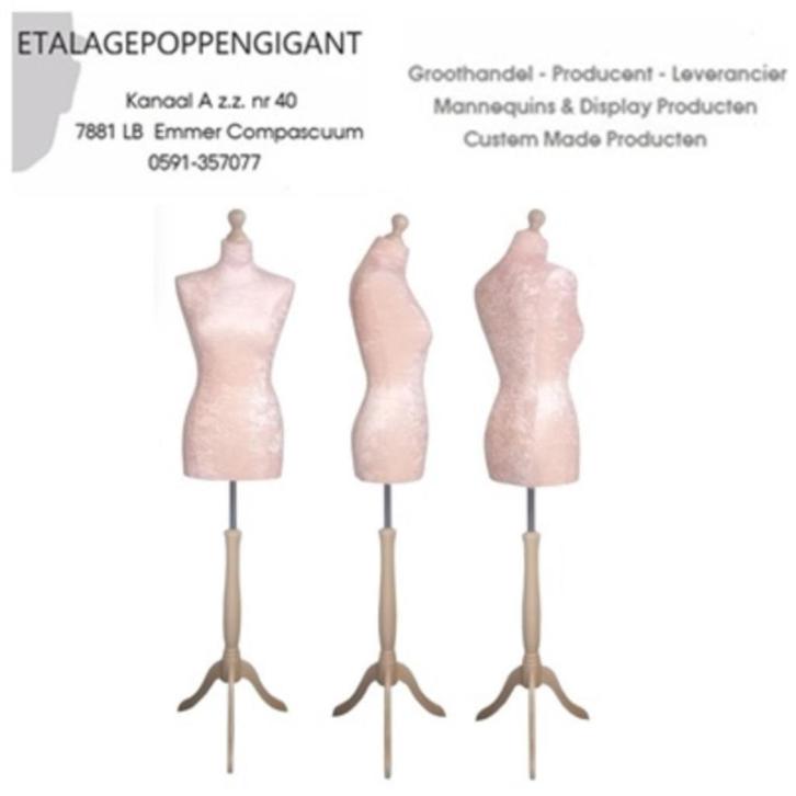 Luxe Paspop/ Buste in div. Kleuren Nieuw EPG, Kleding | Dames, Trouwkleding en Trouwaccessoires, Nieuw, Accessoires, Overige kleuren