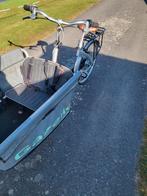 bakfiets gazelle cabby, Ophalen, Gebruikt, Gazelle