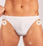 Slip Hom plumes xl, Kleding | Heren, Ondergoed, Ophalen of Verzenden, Slip