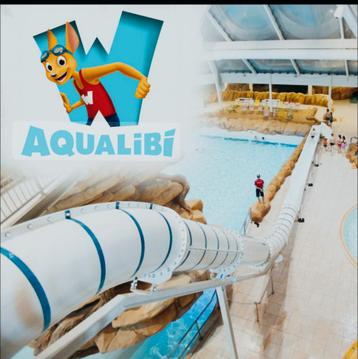 1 Place aqualibi, Tickets & Billets, Loisirs | Parcs d'attractions