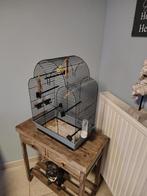 Kanarie plus kooi in zeer goede staat, Dieren en Toebehoren, Ophalen