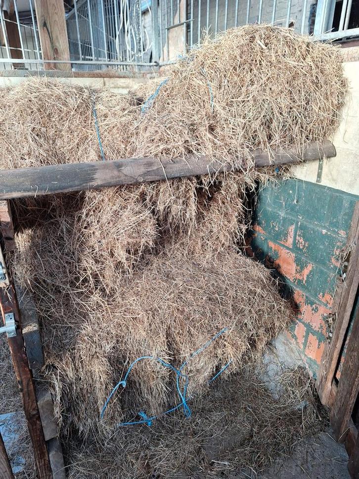 nog enkele balen iets ouder hooi, Dieren en Toebehoren, Dierenvoeding, Vee, Ophalen