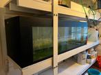 Aquariums, materiel aquariophile, livres, Ophalen, Zo goed als nieuw