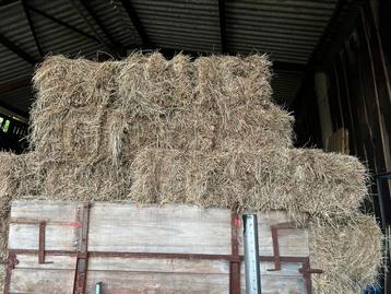 Kleine botten bio hooi beschikbaar voor biedingen