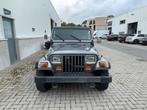 Jeep Wrangler 2500 oldtimer, Cuir, Achat, 2500 cm³, Entreprise