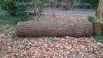 2 stammen douglas, Doe-het-zelf en Bouw, Hout en Planken, Ophalen, Zo goed als nieuw