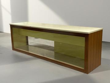 Zeer grote vintage toonbank vitrine taxidermie modernist beschikbaar voor biedingen