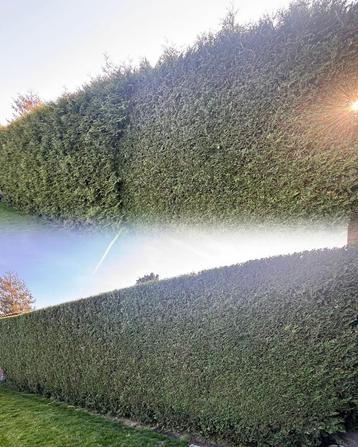 Jardinier paysagiste  beschikbaar voor biedingen