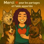 Ultra urgent recherche maison, Immo, Maisons à louer, En direct du propriétaire, 1 pièces