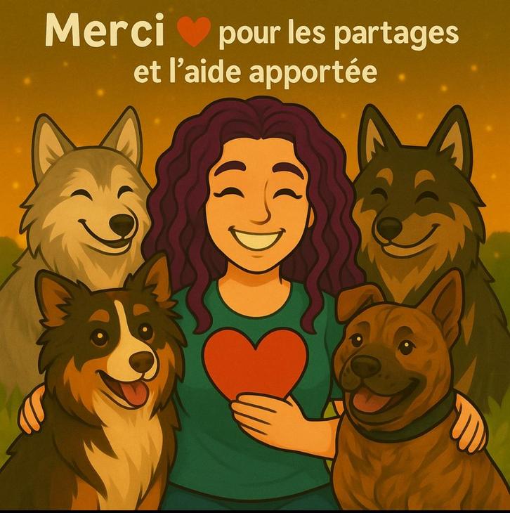 Uiterst dringend zoeken naar een woning, Immo, Huizen te huur, Direct bij eigenaar