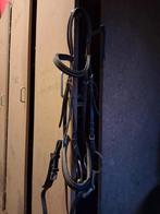 Hoofdstel, maat full, Ophalen of Verzenden, Gebruikt, Dressuur