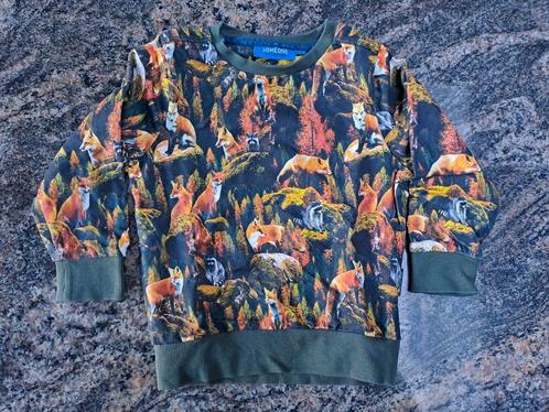Mt 98 Groene/oranje trui met vossen en wasberen, Kinderen en Baby's, Kinderkleding | Maat 98, Zo goed als nieuw, Jongen, Trui of Vest