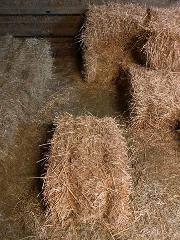 Stro beschikbaar voor biedingen