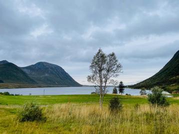 Droomperceel in de Lofoten voor vakantiehuis mit bootperceel beschikbaar voor biedingen