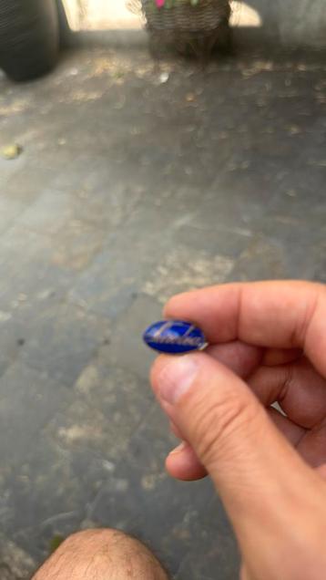 Pin Sarolea beschikbaar voor biedingen