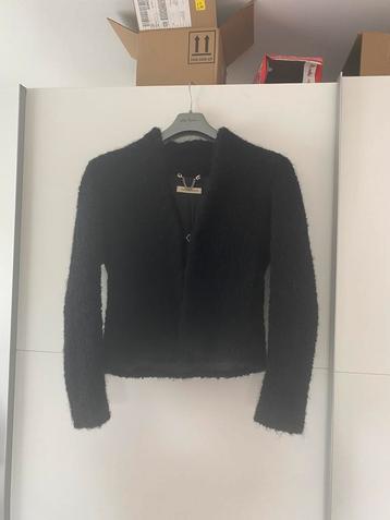 Sophia pigozzi vestje maat 40, Kleding | Dames, Zwart, Maat 42/44 (L), Sophia pigozzi, Ophalen of Verzenden
