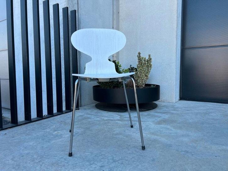 Fritz Hansen, Arne Jacobsen, fourmi chaises, Maison & Meubles, Chaises, Comme neuf, Cinq, Six Chaises ou plus, Bois, Métal, Blanc