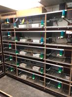 Collis en fischerie, Dieren en Toebehoren