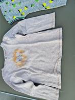 roze longsleeve t-shirt Prinsessia 110, Kinderen en Baby's, Kinderkleding | Maat 110, Ophalen, Zo goed als nieuw