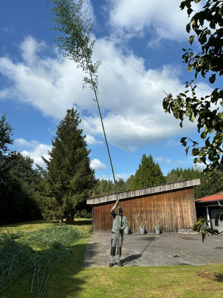 Gratis bamboe af te halen, Jardin & Terrasse, Terre & Fumier, Enlèvement