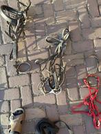 Diverse hoofdstellen + bitten | meerdere opties/prijzen, Dieren en Toebehoren, Ophalen, Gebruikt, Overige soorten