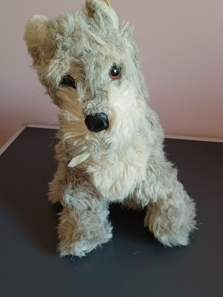 Antiek Terrier hondje van Steiff met knopje en vaantje, Ophalen