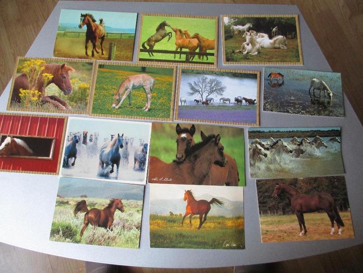 paarden postkaarten 20st nieuw, Collections, Cartes postales | Animaux, Non affranchie, Cheval, Enlèvement