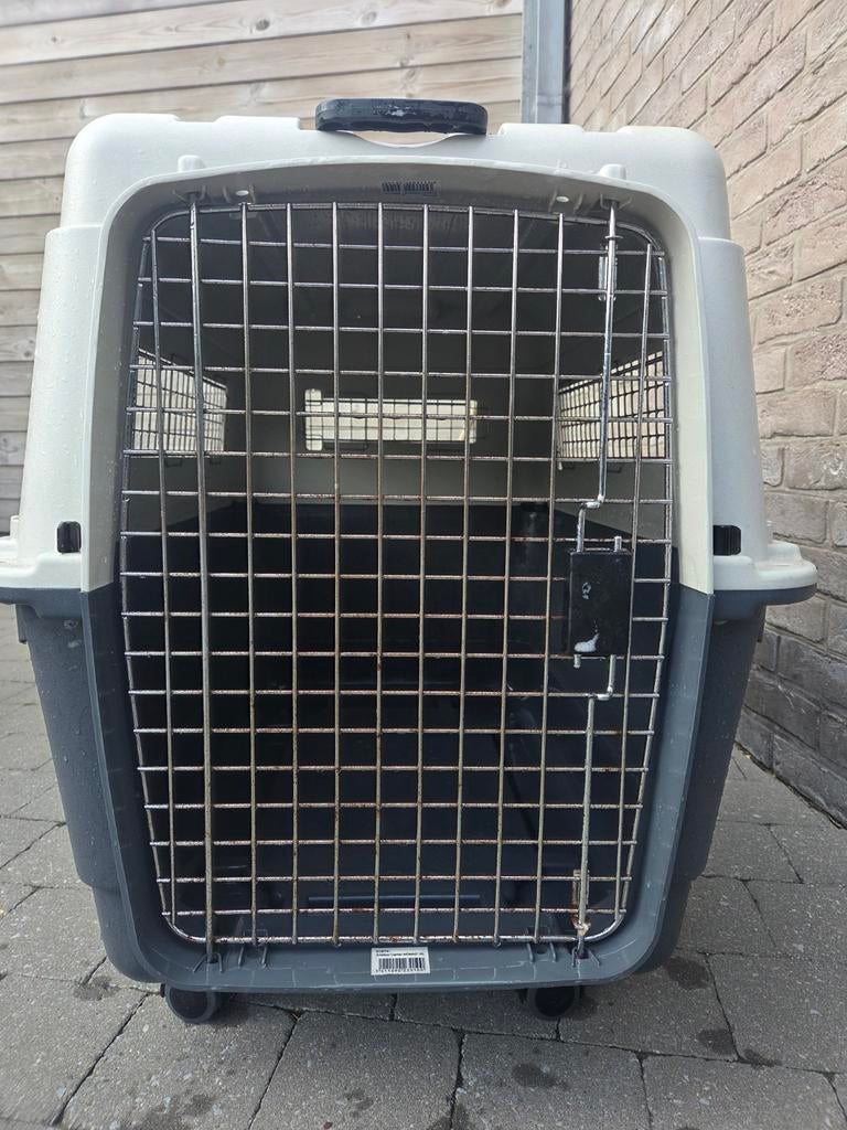 Transportbox voor grote hond, Enlèvement