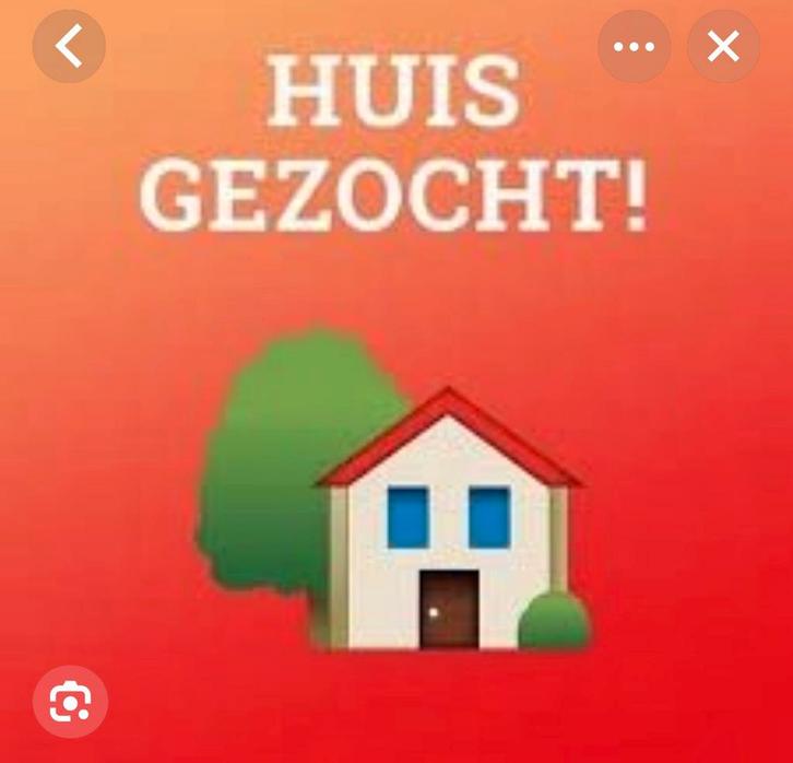 te huur gezocht, Immo, Huizen te huur, Provincie Oost-Vlaanderen, Overige soorten