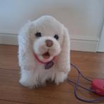 Hond op afstandsbediening, Enlèvement, Chien