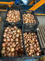 Witte en rode ajuinen, Zakelijke goederen, Landbouw | Aardappelen, Groenten, Fruit en Vlees, Ophalen