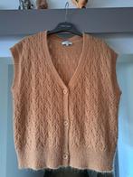 Terre Bleue, vest ajour, mt 40, Kleding | Dames, Terre Bleue, Ophalen of Verzenden, Zo goed als nieuw, Maat 38/40 (M)