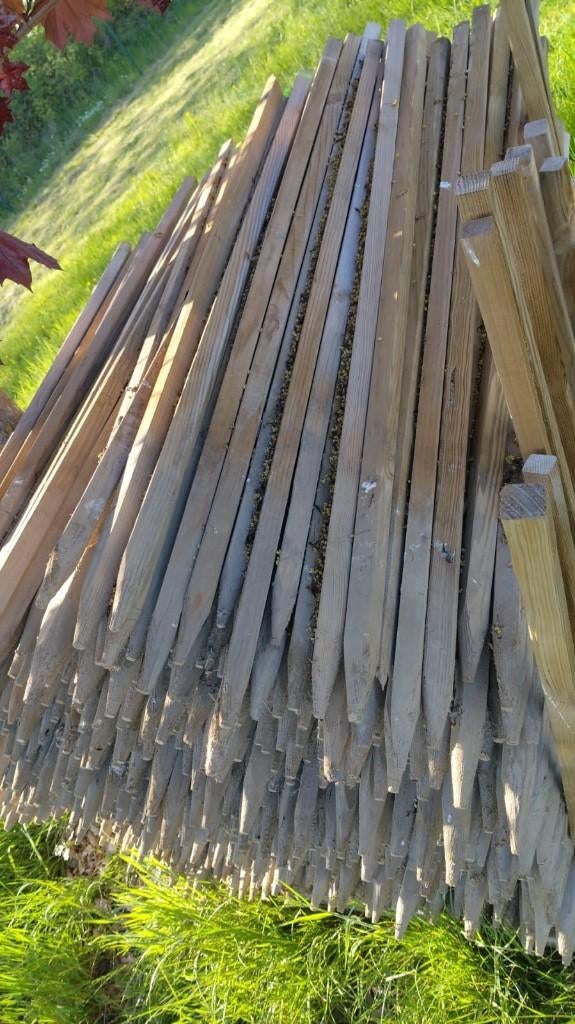 Tuteurs/Piquet en bois 1m20 (3x3cm), Jardin & Terrasse, Enlèvement, Comme neuf, Bois