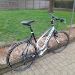 Koersfiets dames, Enlèvement