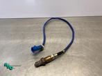 Lambda Sonde van een Ford Focus (Focus 11-), Gebruikt, -, -, Ophalen of Verzenden