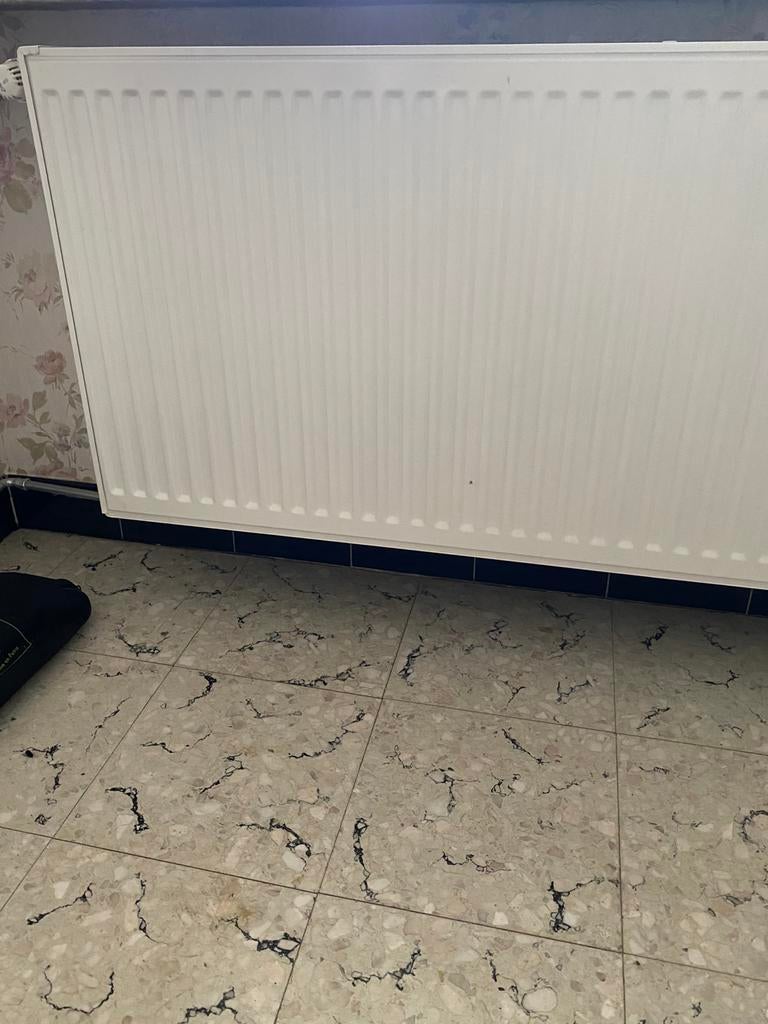 Radiatoren, Doe-het-zelf en Bouw, Verwarming en Radiatoren, Zo goed als nieuw, Thermostaat, Ophalen