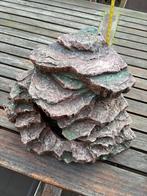 Aquariumdecoratie, Ophalen of Verzenden, Zo goed als nieuw, Sierelement